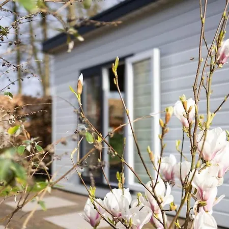 Gezellig Modern Midden Op De Veluwe Шале