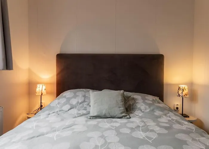 Chalet Gezellig Modern Midden Op De Veluwe Epe