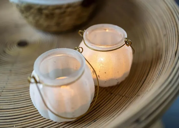 Gezellig Modern Midden Op De Veluwe Chalet Epe