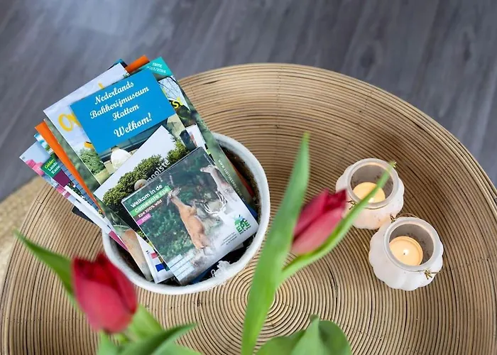 Chalet Gezellig Modern Midden Op De Veluwe