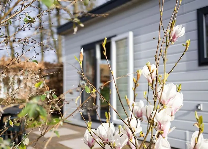 Gezellig Modern Midden Op De Veluwe Chalet